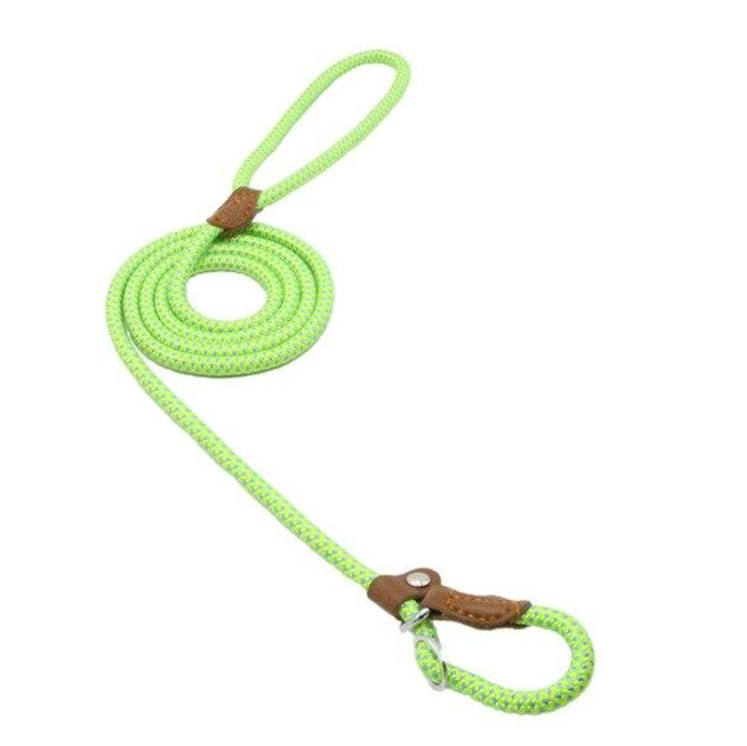Lumora PupGear nylon dog leash and collar set