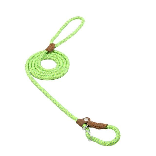 Lumora PupGear nylon dog leash and collar set