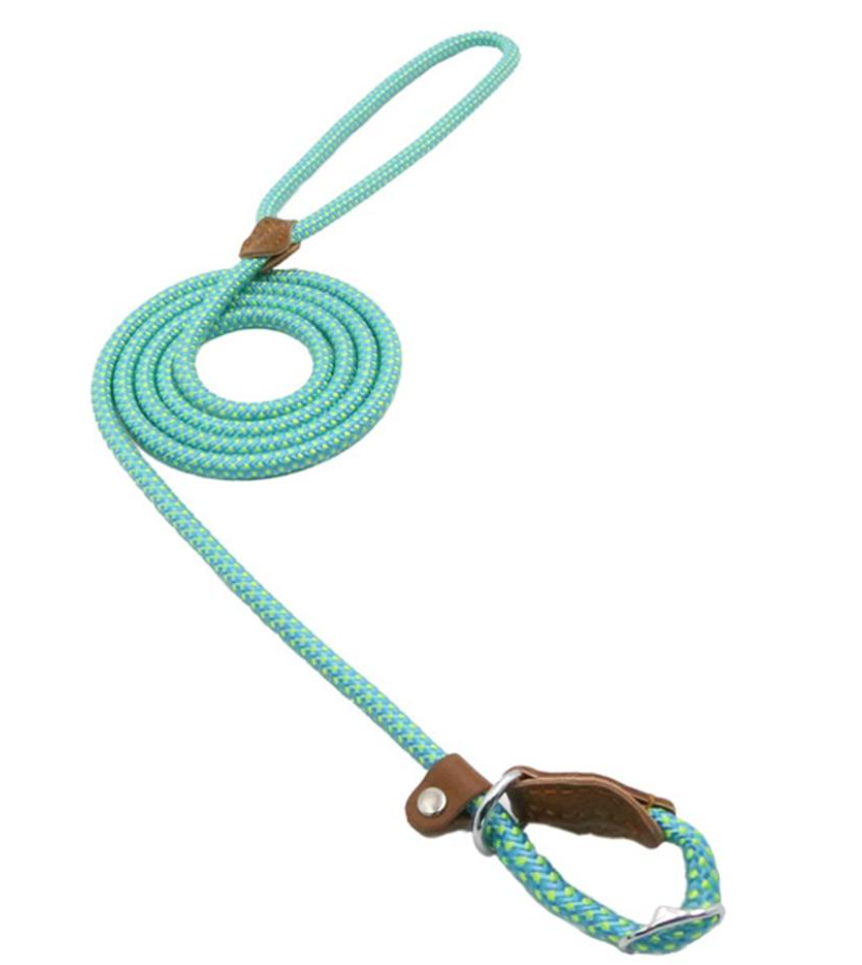 Lumora PupGear nylon dog leash and collar set
