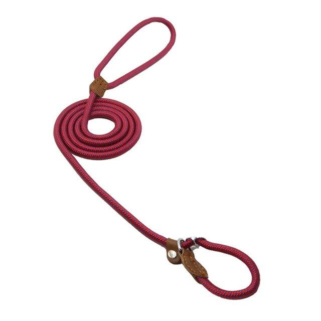Lumora PupGear nylon dog leash and collar set