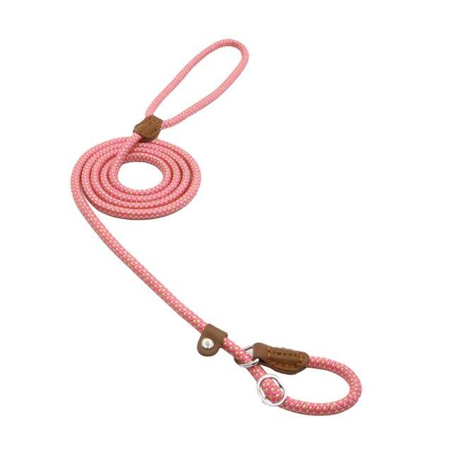 Lumora PupGear nylon dog leash and collar set