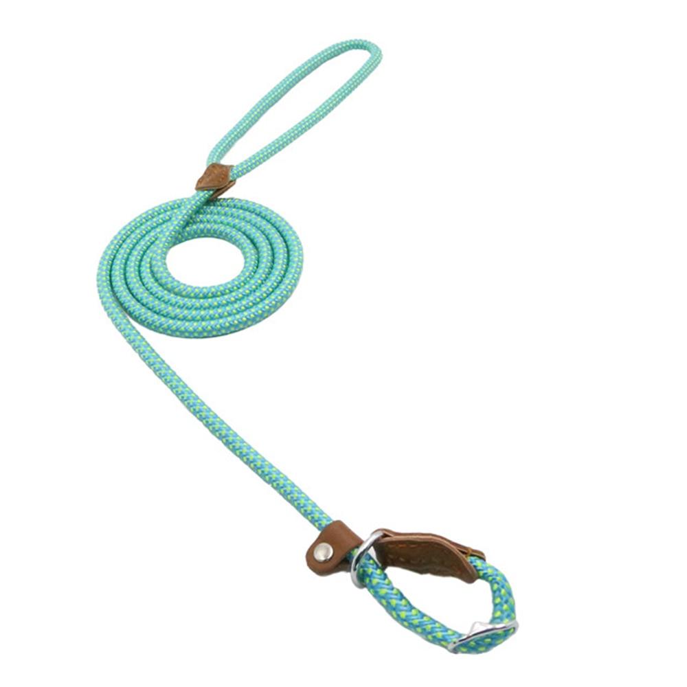 Lumora PupGear nylon dog leash and collar set